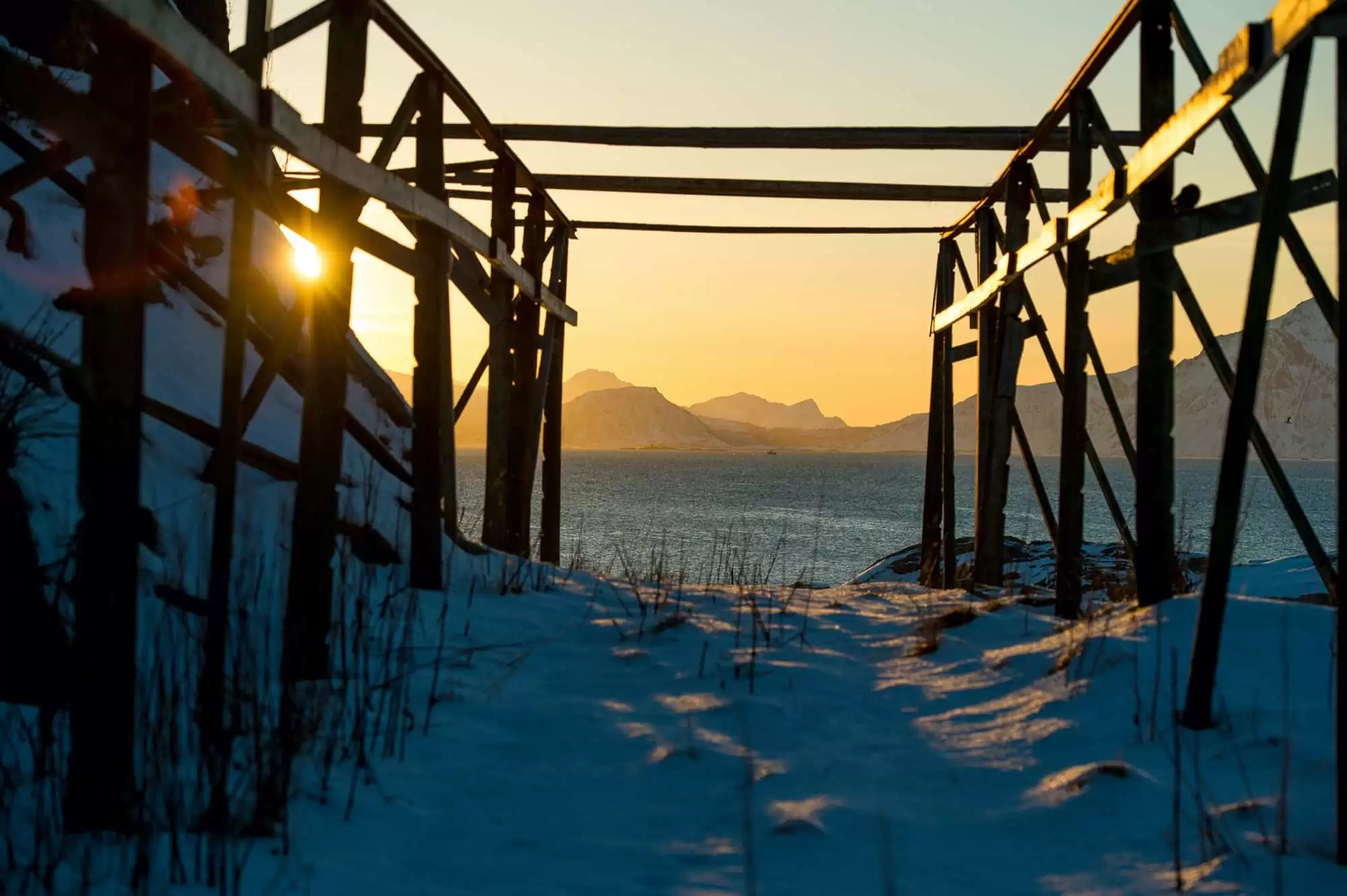 henningsvaer-camplofoten-8016-bris-norwegian-adventure-company.jpg – Norwegian Adventure Company