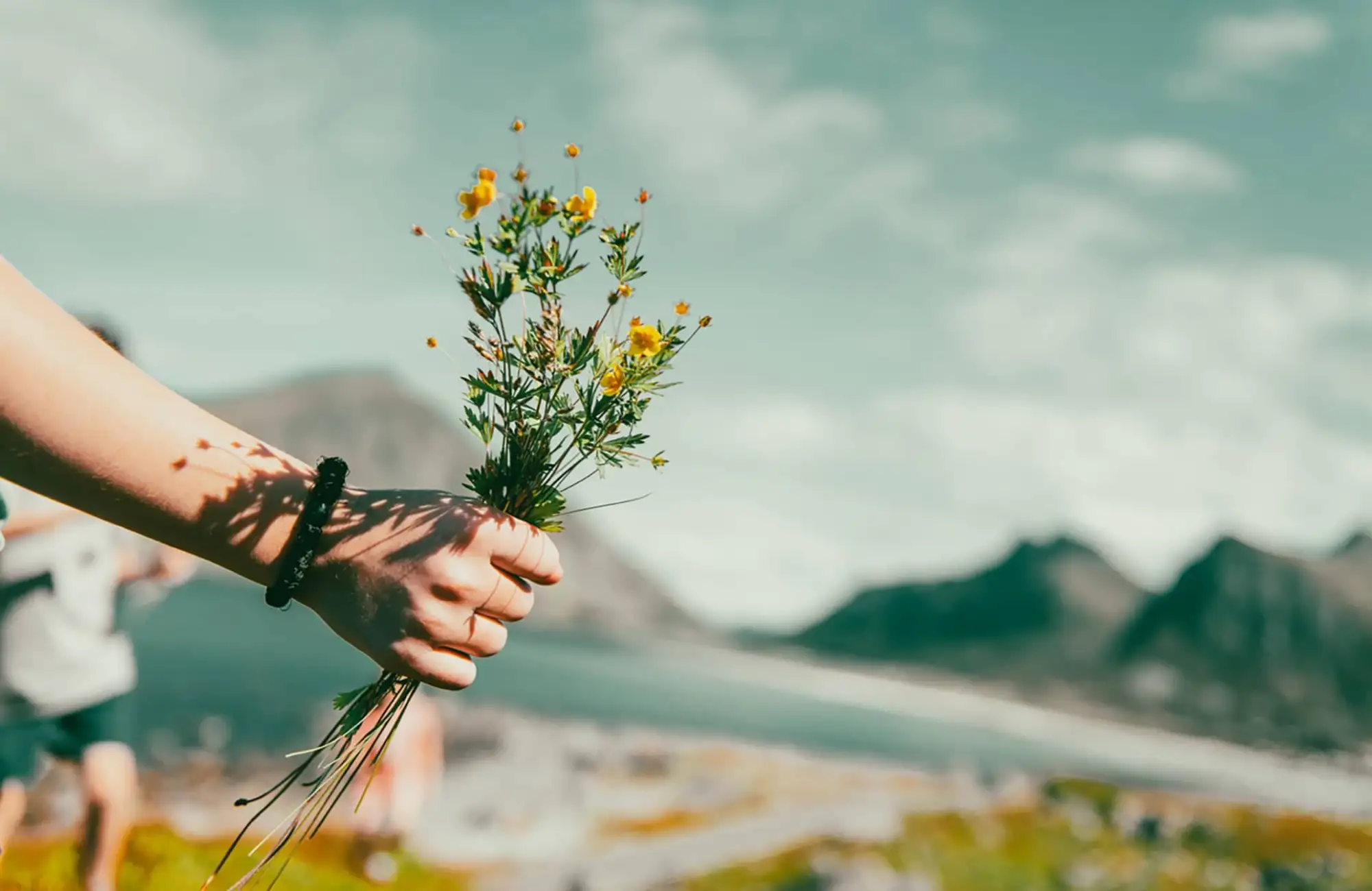 Concierge & Luxury Travel Experiences – Norwegian Adventure Company