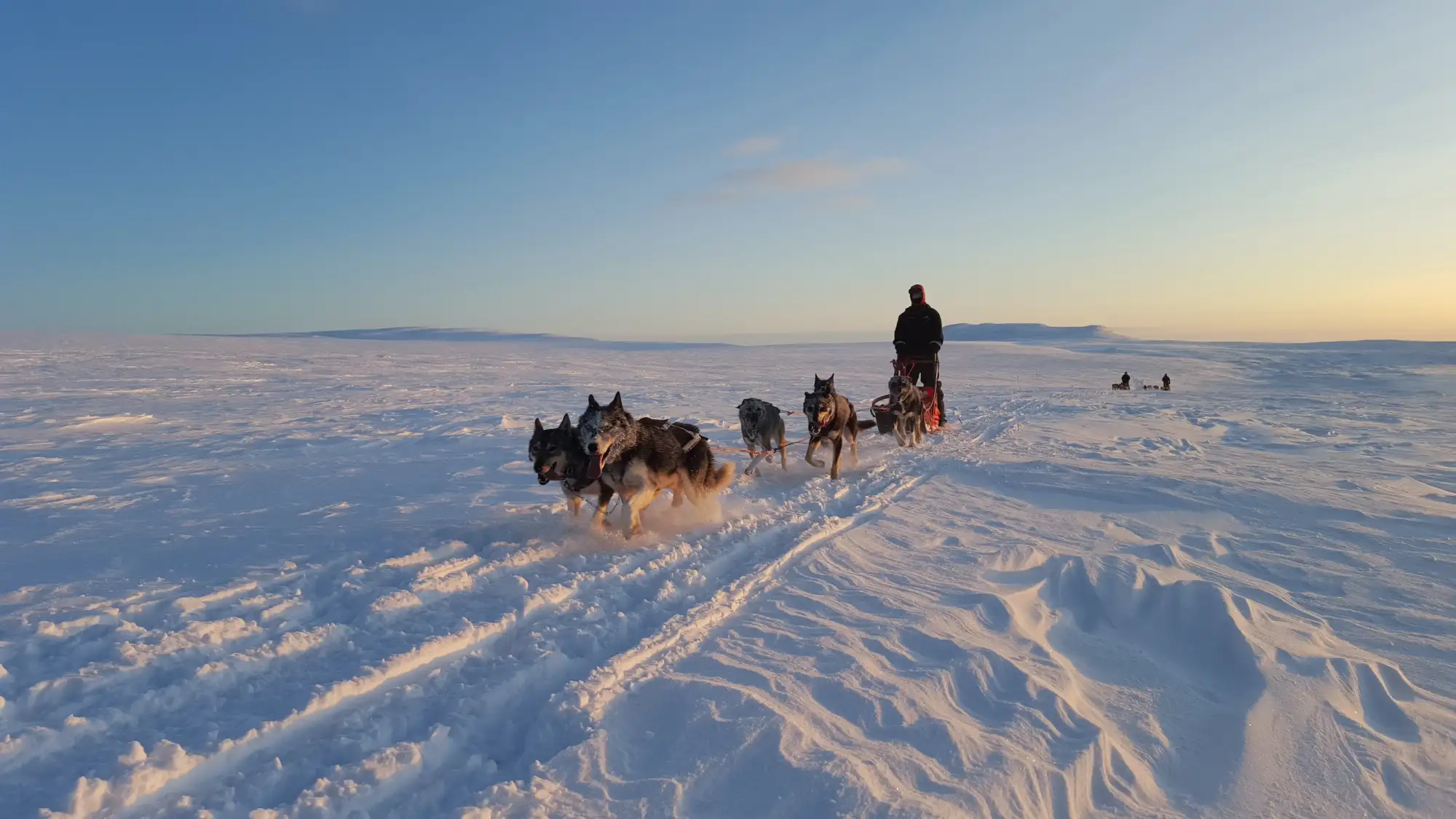 Fantastiske Finnmark – Norwegian Adventure Company