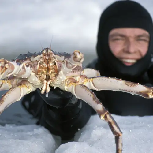 Fantastiske Finnmark – Norwegian Adventure Company