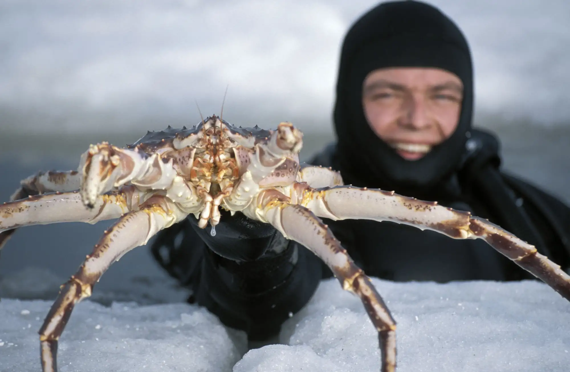 Fantastiske Finnmark – Norwegian Adventure Company