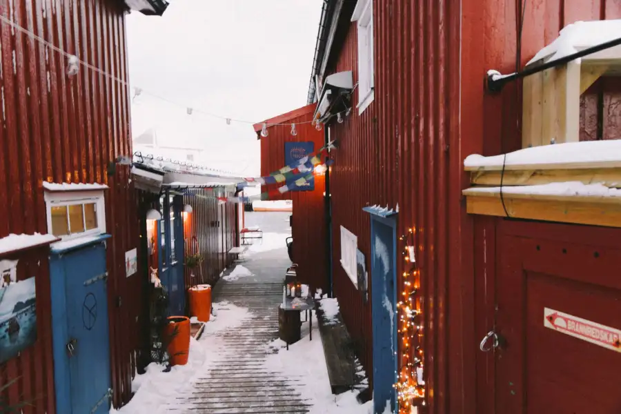 Norwegian Adventure Company