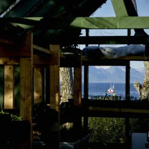 l1001318_(c)eivindnatvig-kvitnes-halvar-ellingsen-gourmet-food-mat-restaurant-gastronomy-gard-food-to-table-arctic-north-vesteralen-lofoten-norway-nordland-ocean-farming-wine-vin-eivind-hindahl-natvig-norwegian-adventure-company.JPG – Norwegian Adventure Company