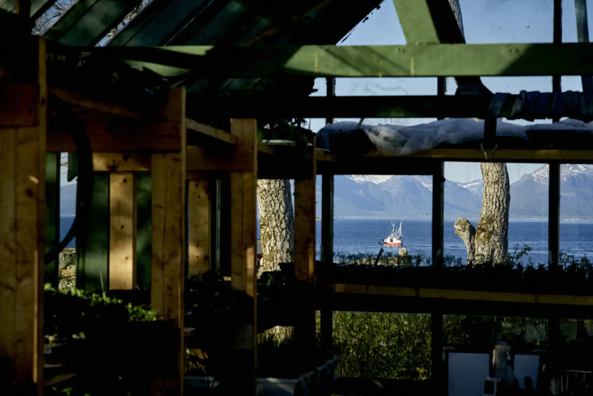 l1001318_(c)eivindnatvig-kvitnes-halvar-ellingsen-gourmet-food-mat-restaurant-gastronomy-gard-food-to-table-arctic-north-vesteralen-lofoten-norway-nordland-ocean-farming-wine-vin-eivind-hindahl-natvig-norwegian-adventure-company.JPG – Norwegian Adventure Company