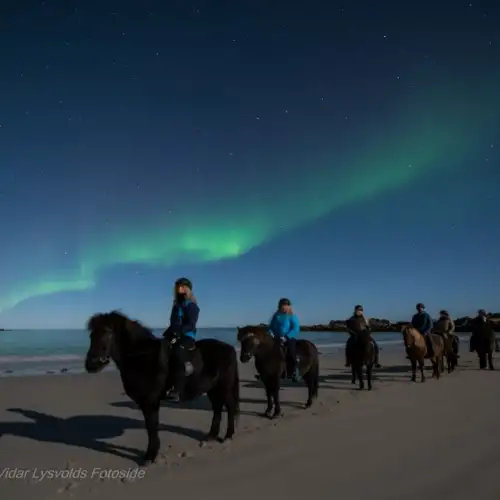 northern-light-aurora-borealis-horse-riding-bilde-12-norwegian-adventure-company.jpg – Norwegian Adventure Company