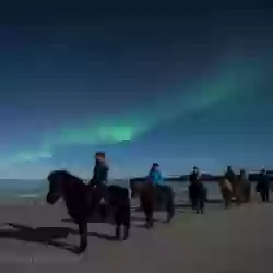 northern-light-aurora-borealis-horse-riding-bilde-12-norwegian-adventure-company.jpg – Norwegian Adventure Company