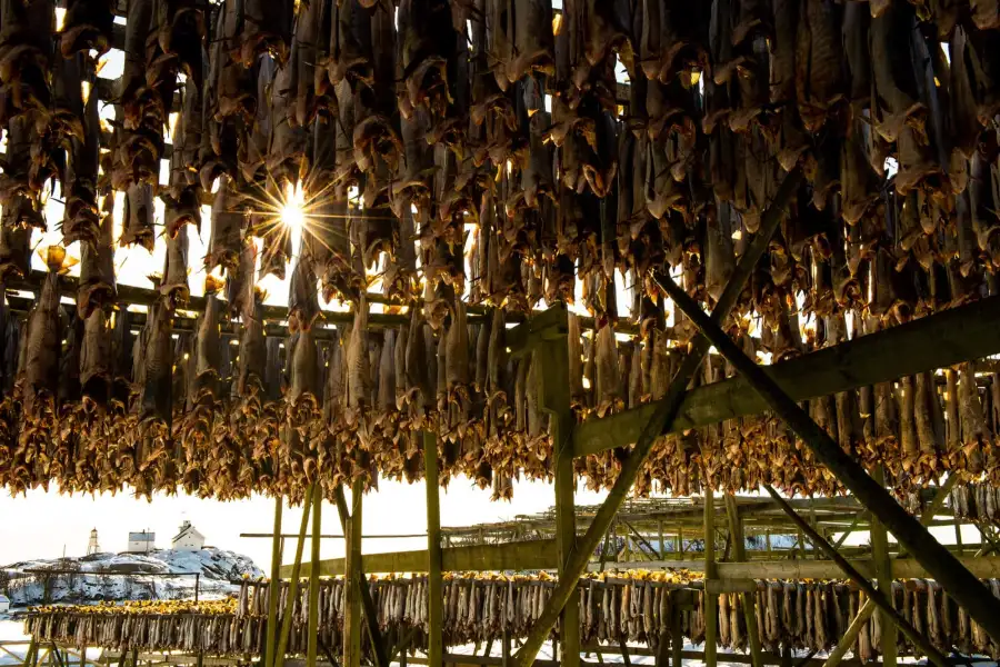 Norwegian Adventure Company