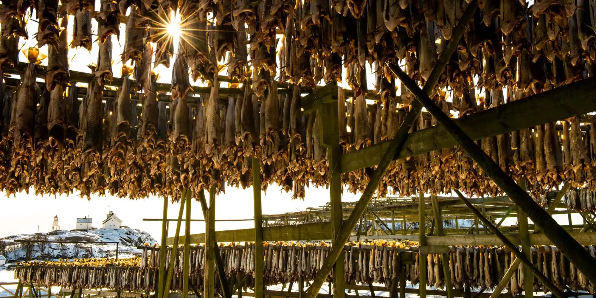 Det NAC har gjort gjennom flere sesonger er så langt jeg kjenner til unikt i norsk reiselivssammenheng. Her er hele menyen lokal, sier Hvarnes. – Norwegian Adventure Company