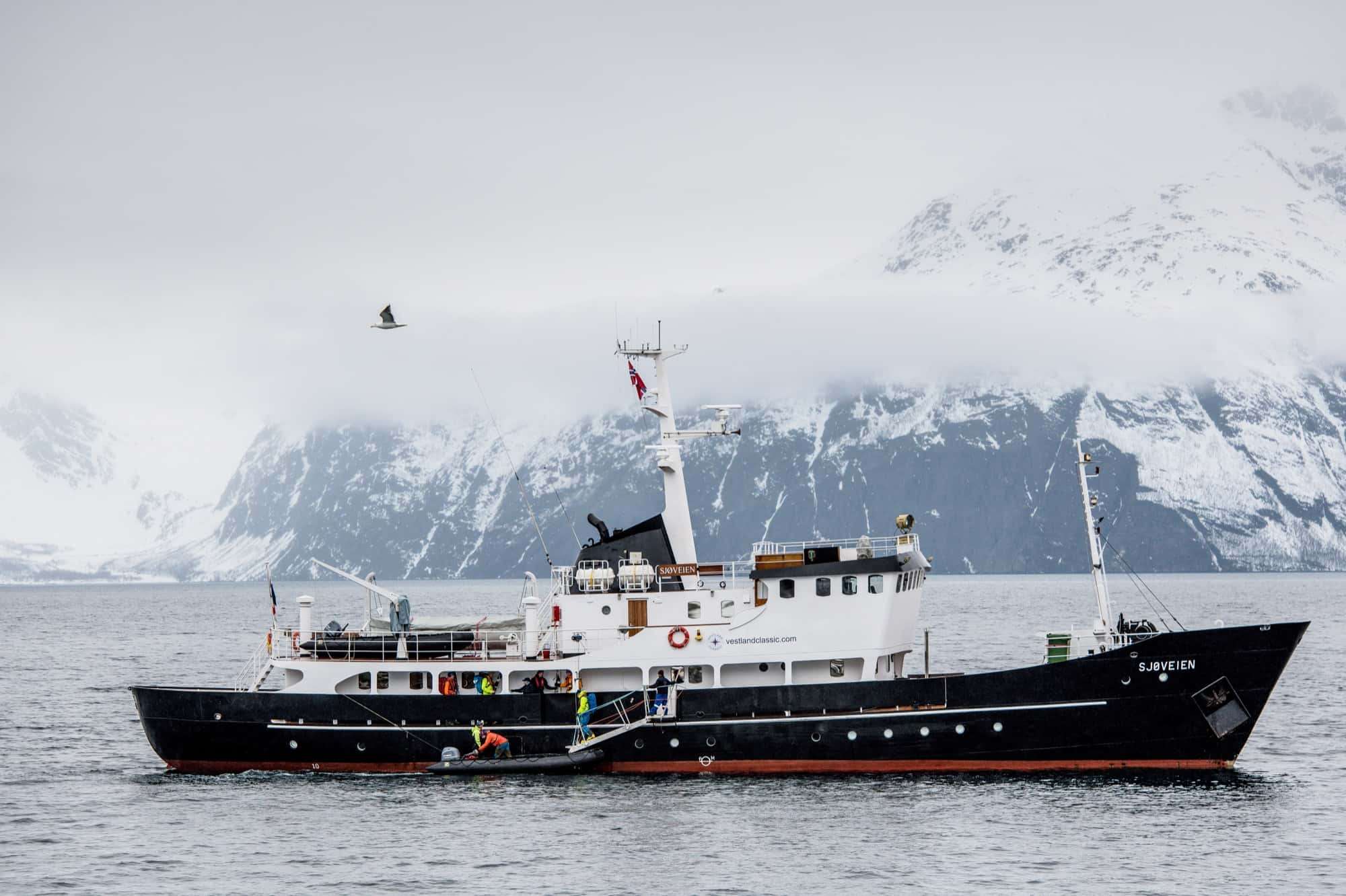 Arctic Ski & Sail auf der eigenen klassischen Yacht MS Sjøveien – Norwegian Adventure Company