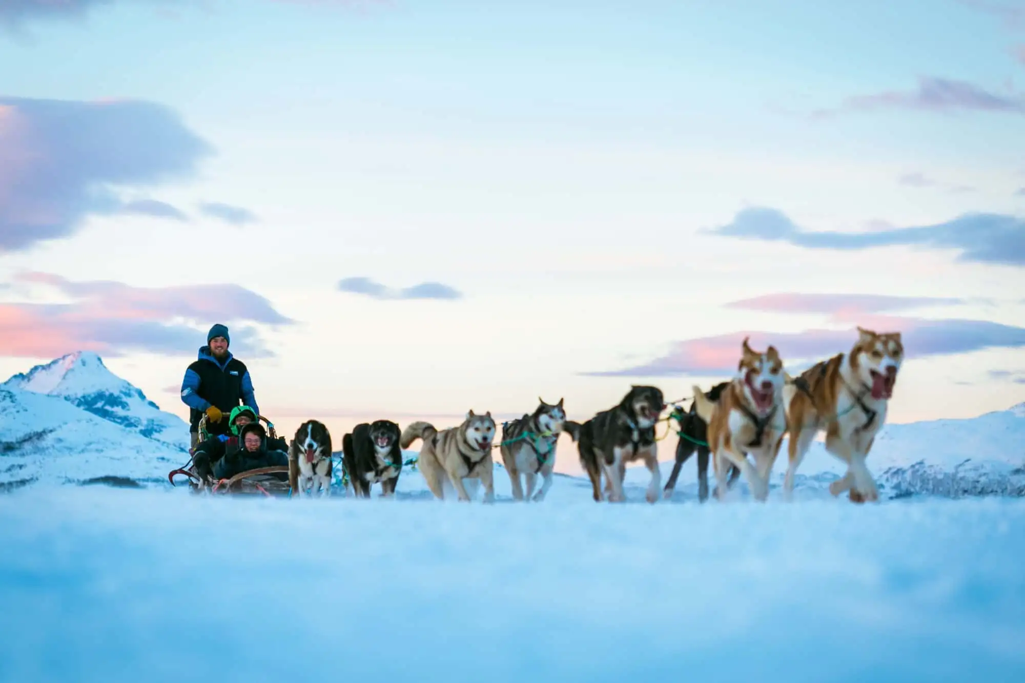 Arctic-dog-sledding-hundekjoring-Gruppetur-Bedriftsarrangement-Tromso-Northern-Norway-Corporate-Event-Norwegian-Adventure-Company-01.jpg – Norwegian Adventure Company