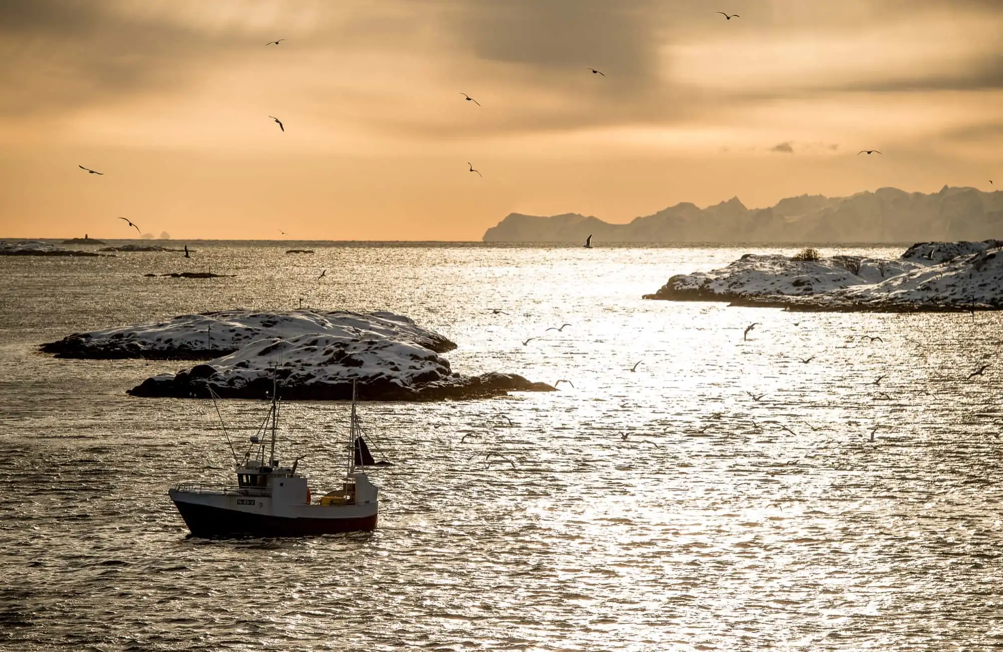 The World’s most beautiful coastal cruise – Norwegian Adventure Company