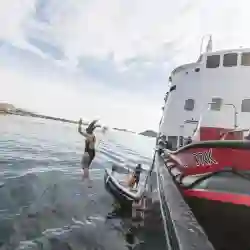 Ta et forfriskende bad fra båten. Garantert forfriskende! – Norwegian Adventure Company