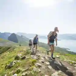 Gullrekka i nord – Norwegian Adventure Company