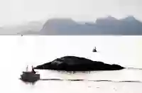 SE NORD-NORGE FRA SJØSIDEN Få ting er like flott som å se nordnorske fjellrekker reise seg opp av sjøen. Derfor bør du komme deg ut på fjorden for å oppleve fiske på den tiden av året hvor sjansen for å få storfangst er størst. – Norwegian Adventure Company