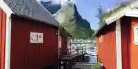 Picturesque Reine, art and local culinary – Norwegian Adventure Company