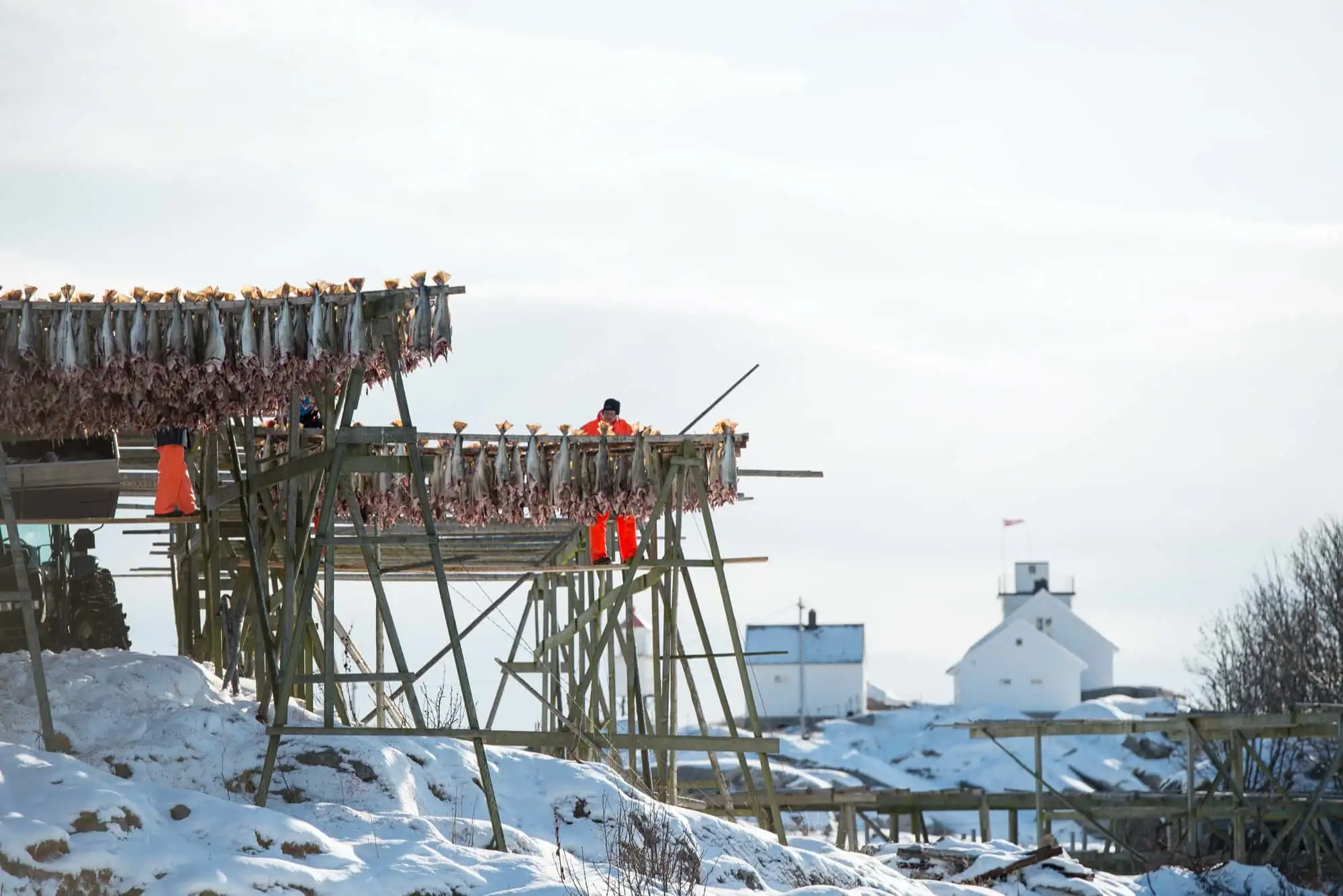 Et av Lofotens mest populære fiskevær – Norwegian Adventure Company
