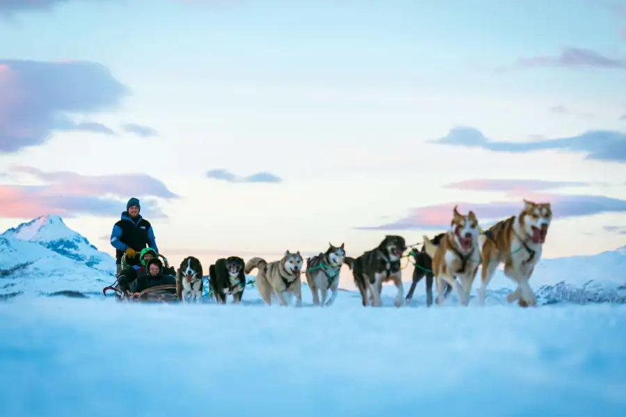 Norwegian Adventure Company