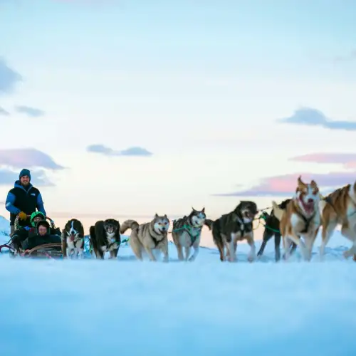 Prøv hundekjøring på Tromsø Villmarkssenter. – Norwegian Adventure Company
