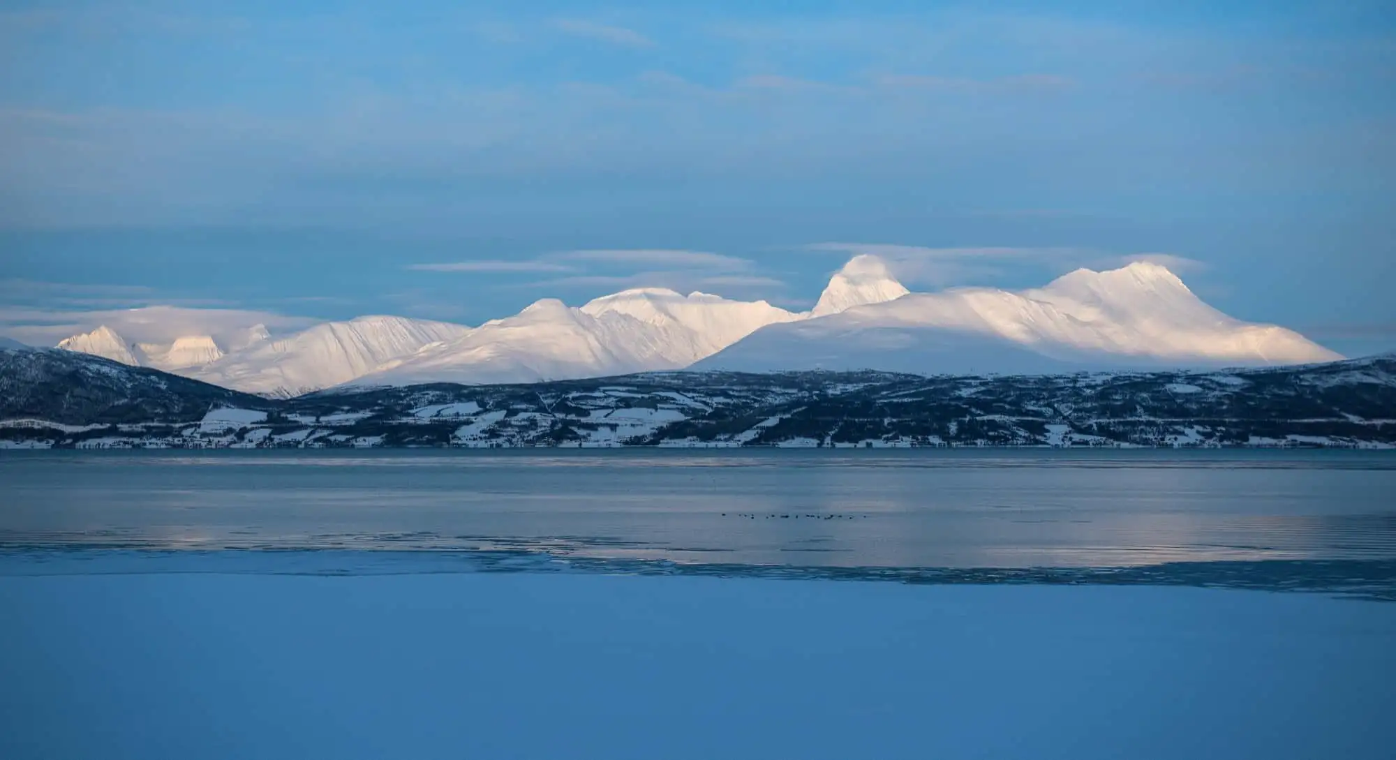 Den arktiske hovedstaden – Norwegian Adventure Company