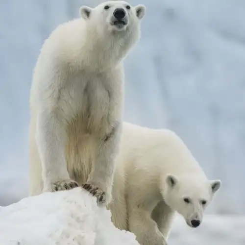 The jewel of the north – Norwegian Adventure Company