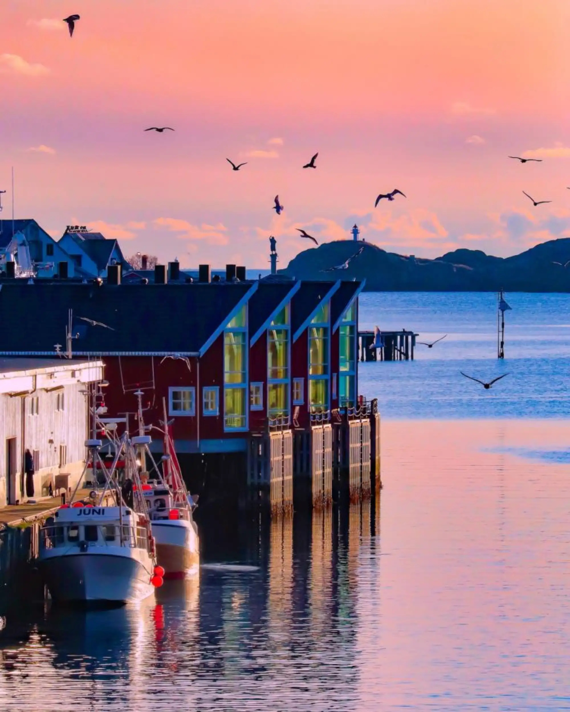 foto-svinoyen-1633100258.jpeg – Norwegian Adventure Company