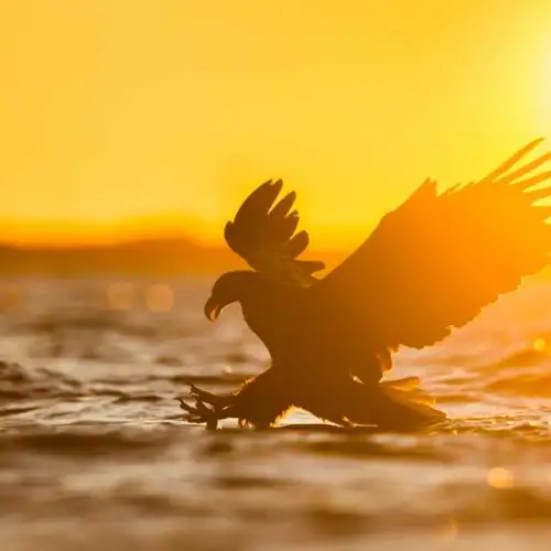 havaern.jpg – Norwegian Adventure Company