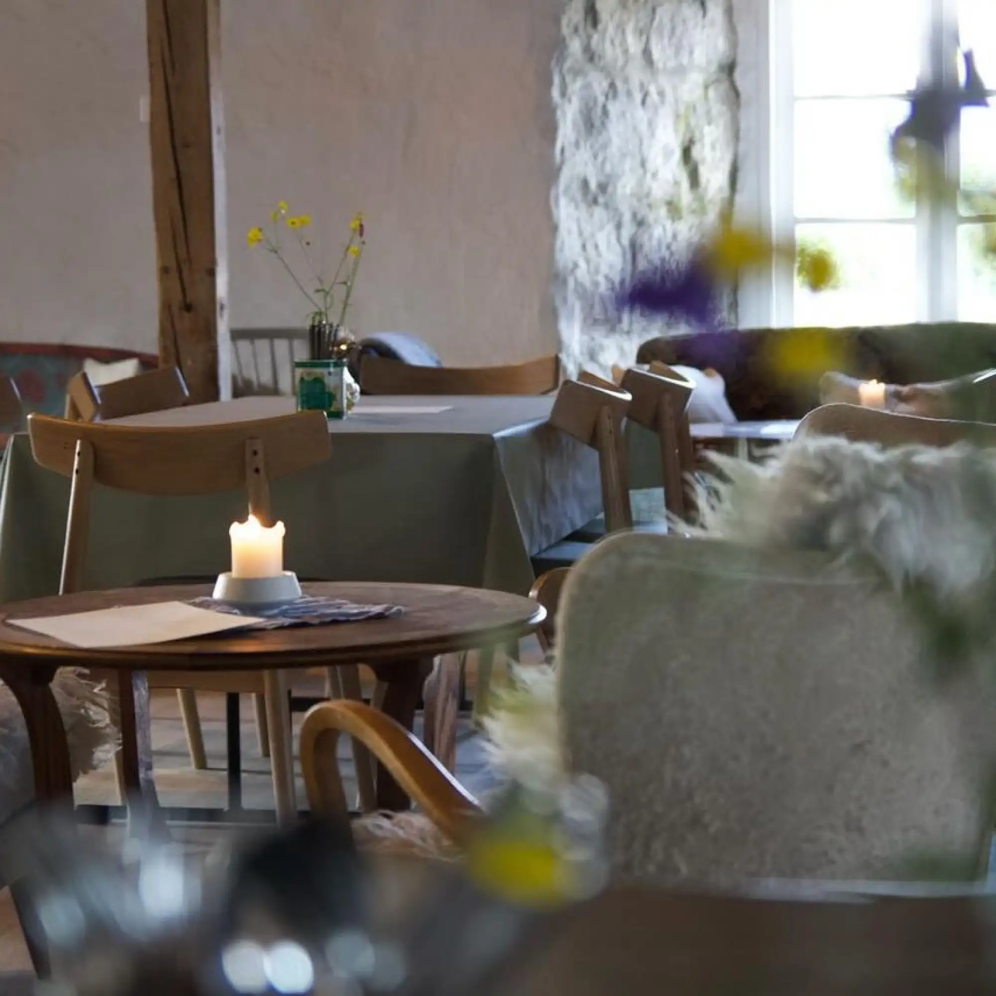 Topptur: Kvitnes Gård og Vesterålen – Norwegian Adventure Company