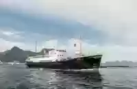 Bodøbaserte M/S Gamle Salten seiler ut fra Svolvær havn på en av sommerseilasene. – Norwegian Adventure Company