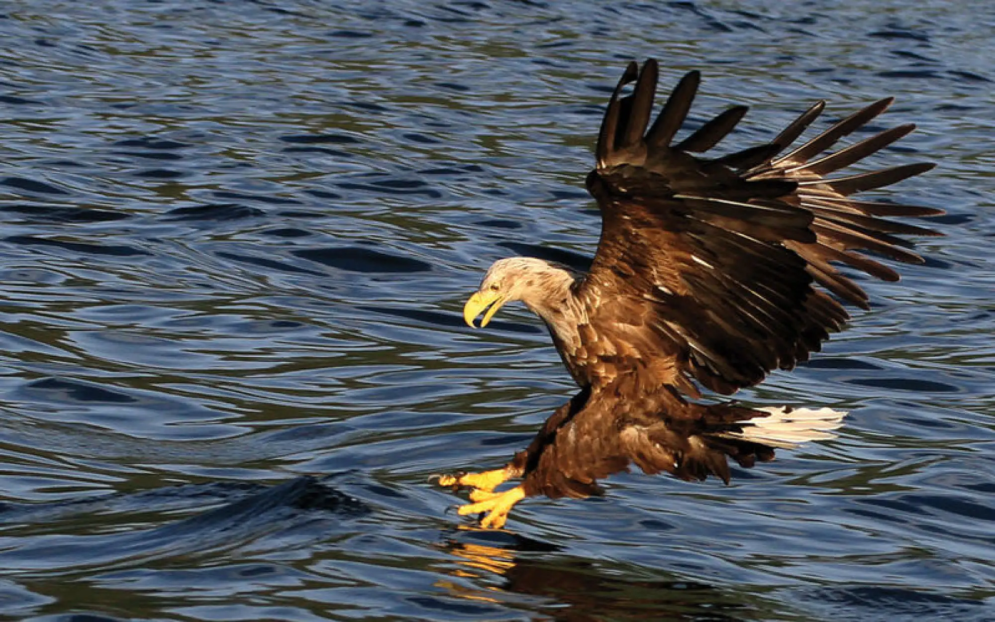 rn2-1633081598.jpg – Norwegian Adventure Company