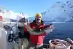 Norwegian Adventure Company