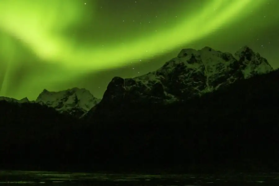 Norwegian Adventure Company