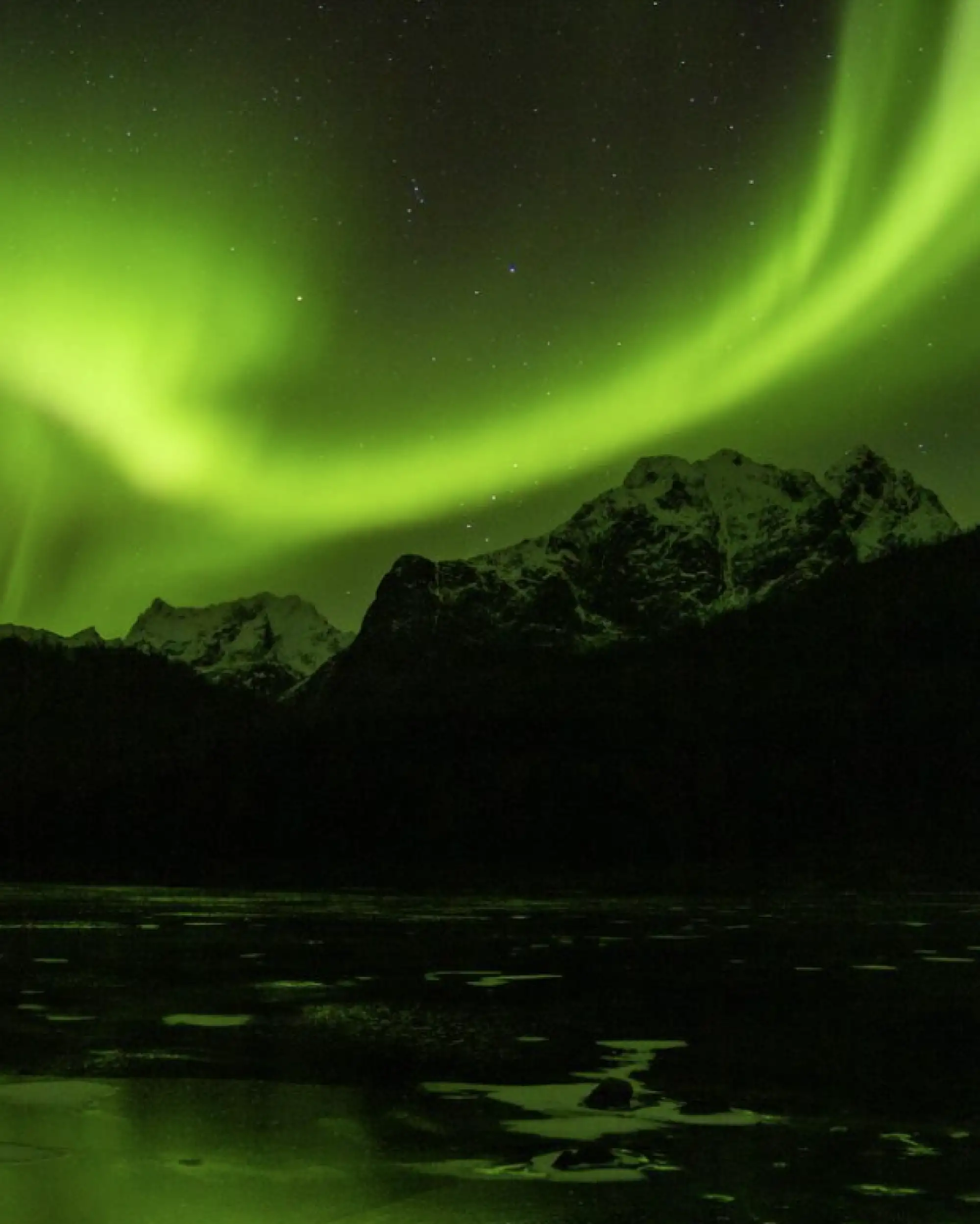 Topptur: Kvitnes Gård og Vesterålen – Norwegian Adventure Company