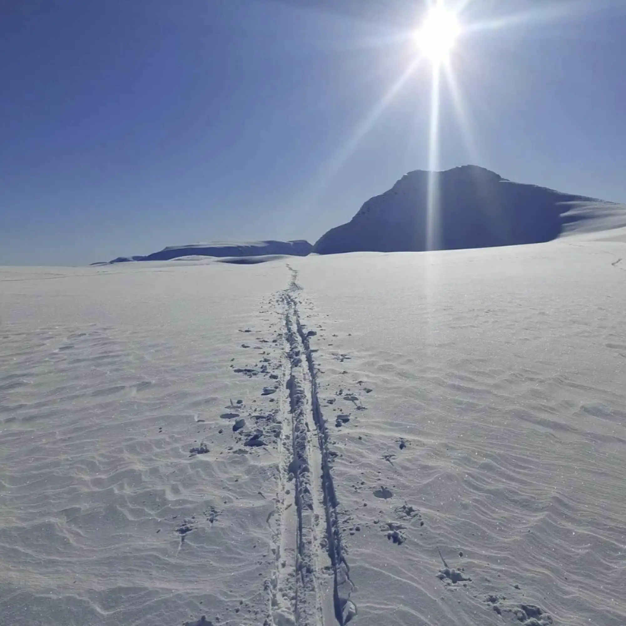 Ski touring: Kvitnes Gård and Vesterålen – Norwegian Adventure Company