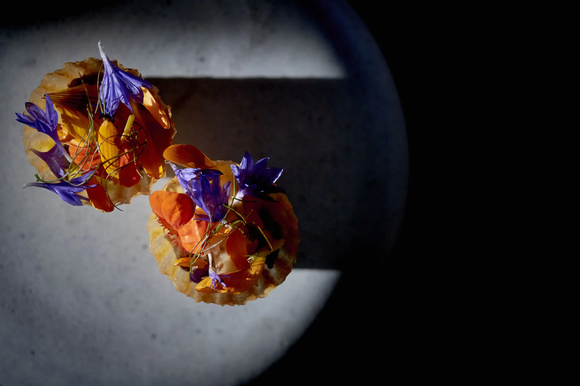 Topptur: Kvitnes Gård og Vesterålen – Norwegian Adventure Company